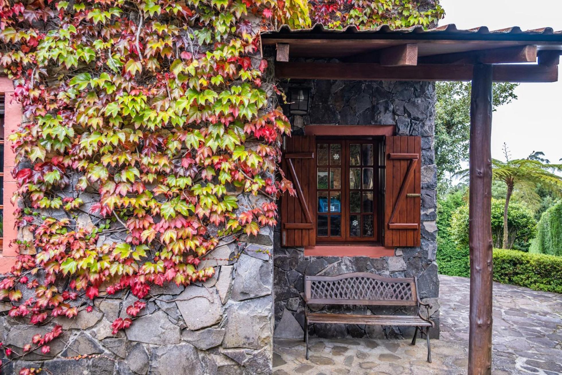 Chalet Achada Da Mouca By Madeira Sun Travel