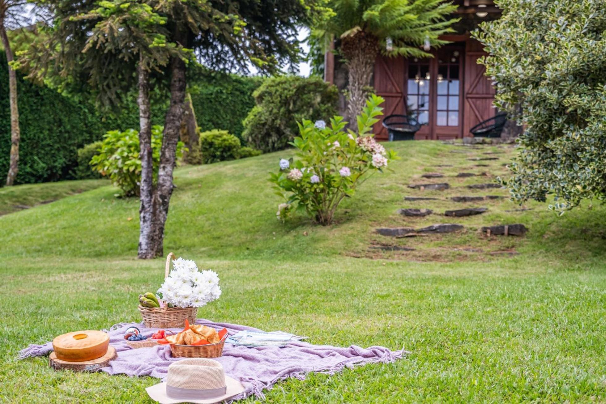 Achada Da Mouca By Madeira Sun Travel * Santana (Madeira)